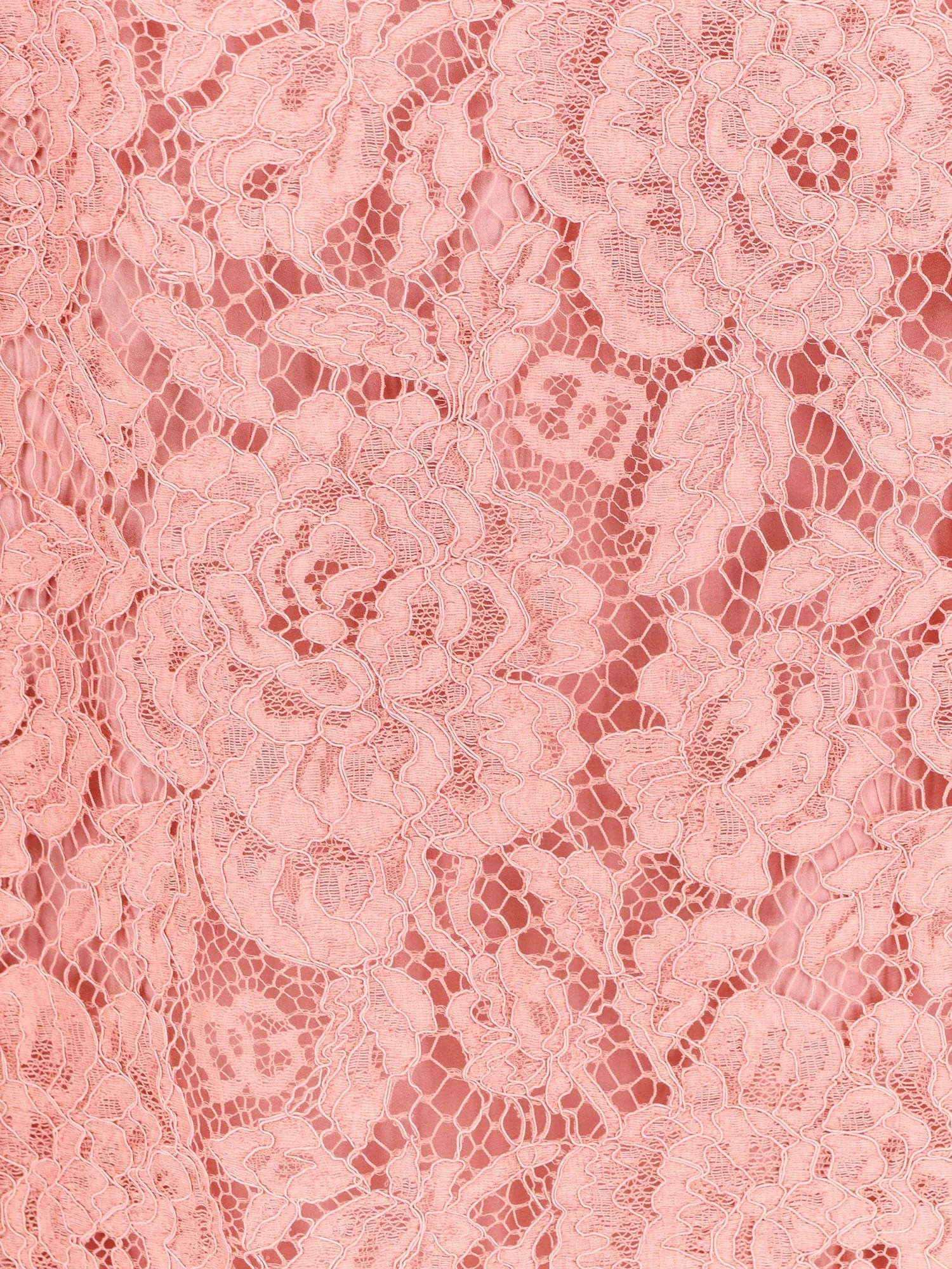 Dolce & Gabbana A Line Dg Floral Lace Dress - Image 4
