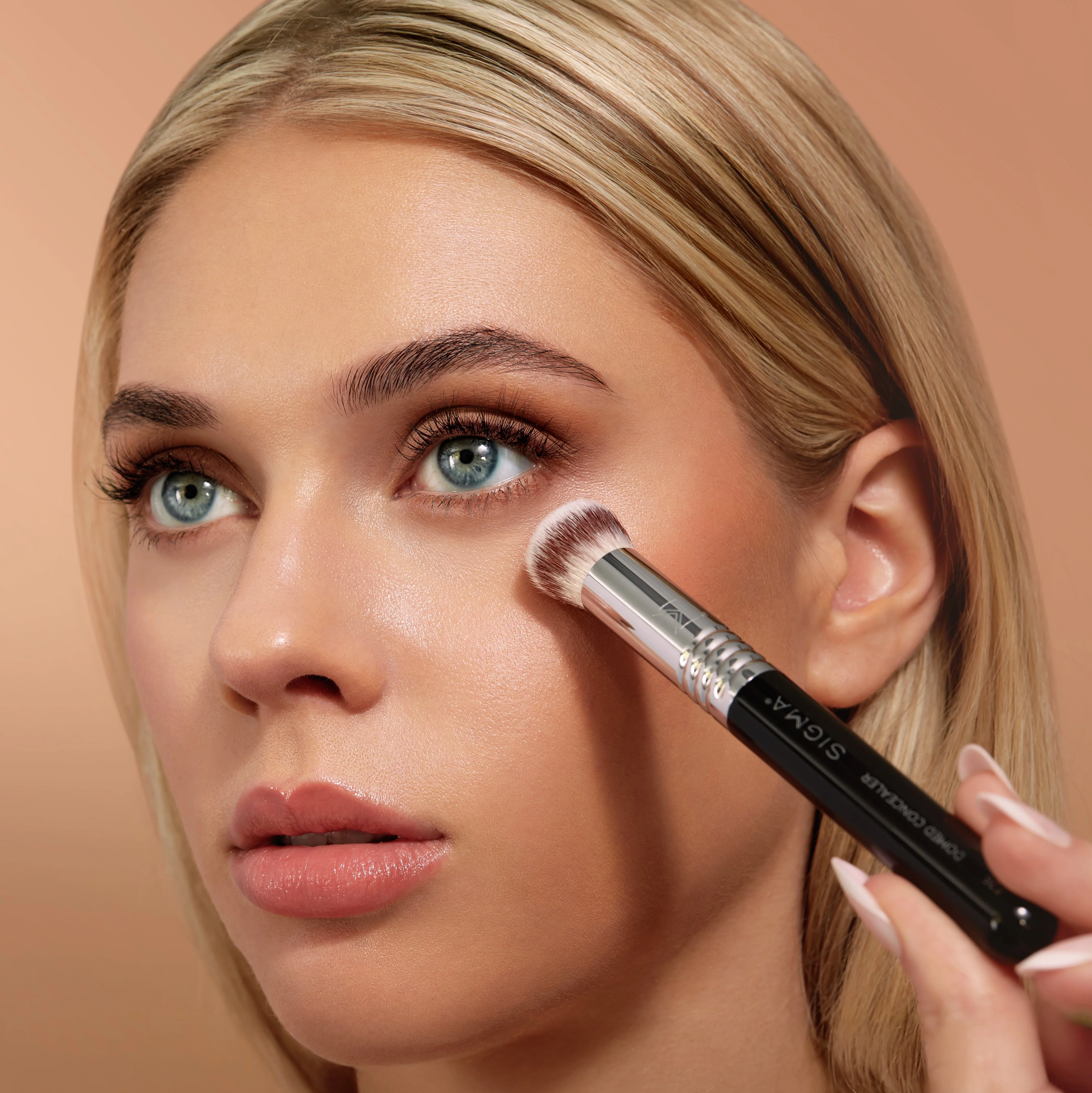 F26 Domed Concealer Brush - Sigma Beauty - Image 8