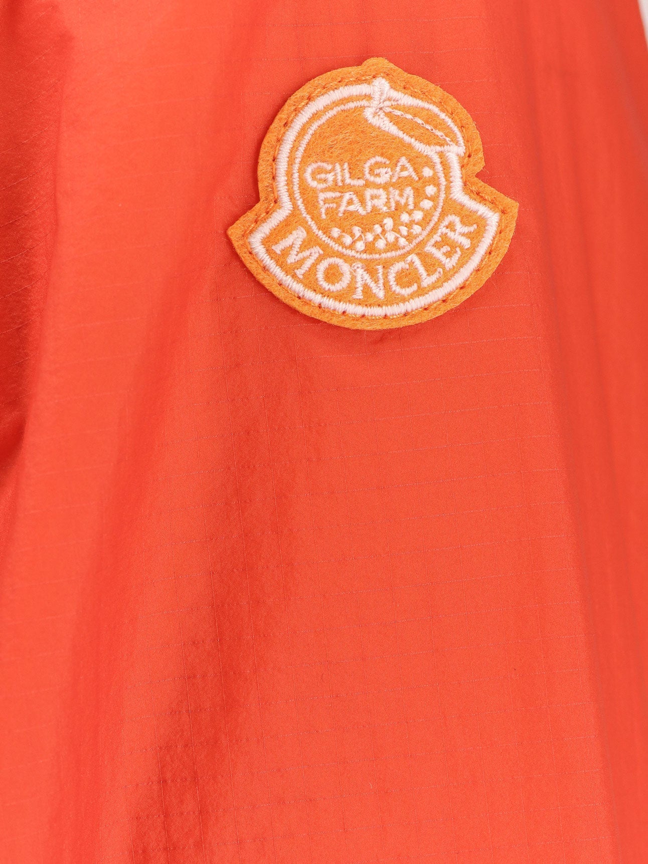 Moncler Genius Hamlin Moncler X Gilga Farm Designed By Donald Glover Nylon Jacket - Image 6