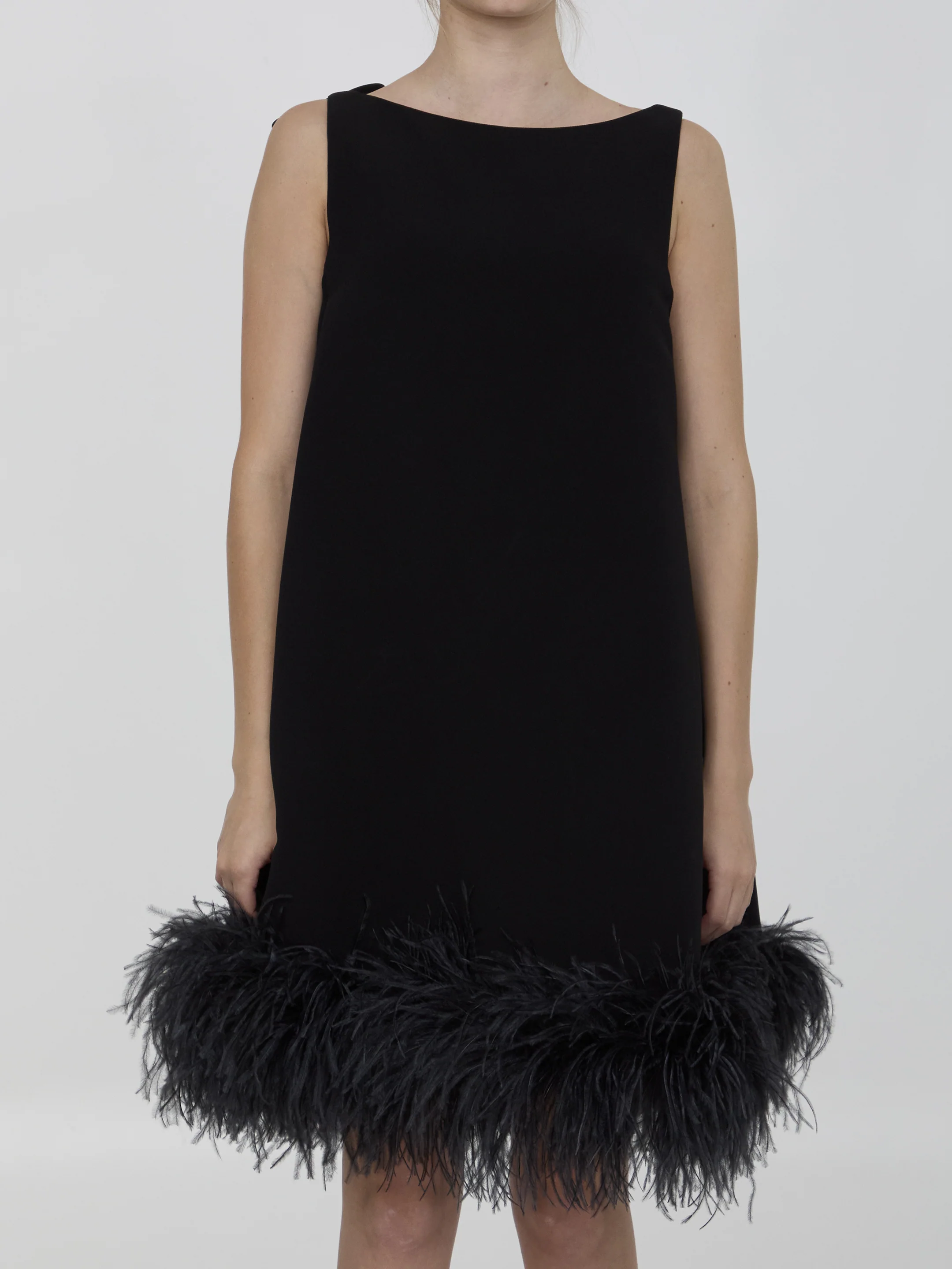 Valentino Garavani Mini Dress With Feathers